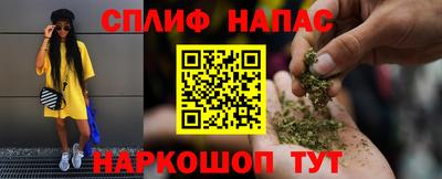 гидра Краснознаменск
