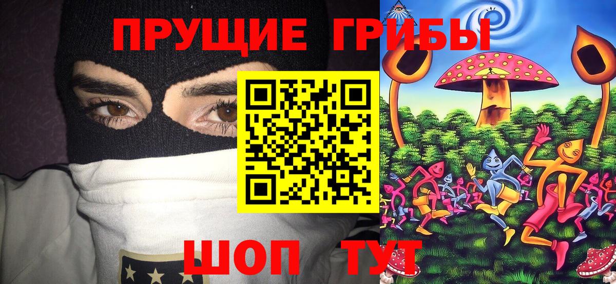Псилоцибиновые грибы мицелий Зеленокумск