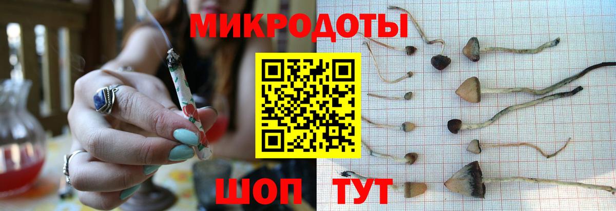Галлюциногенные грибы Psilocybine cubensis  Галлюциногенные грибы MAGIC MUSHROOMS  Вход с VPN  Зеленокумск 